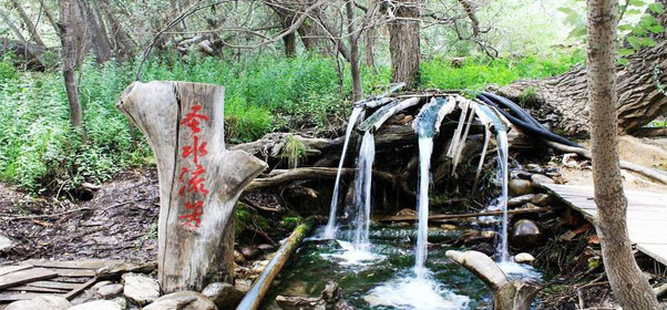 新疆阿克苏温宿天山神木园旅游景区图片