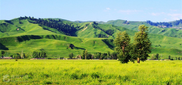 新疆伊犁那拉提草原旅游景区图片
