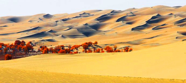 新疆巴州塔克拉玛干沙漠旅游景区图片