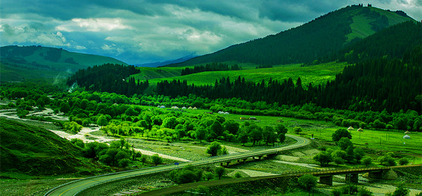 新疆伊犁巩乃斯国家森林公园图片
