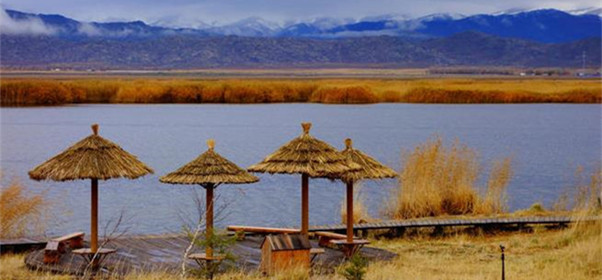 新疆富蕴可可苏里湖风景区图片
