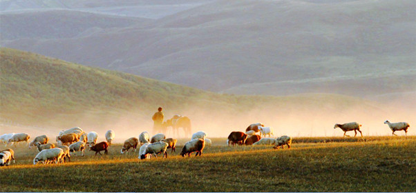 新疆博尔塔拉夏尔西里自然保护区图片