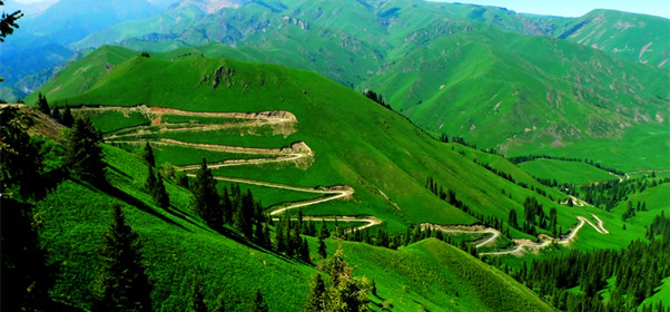 新疆博尔塔拉夏尔西里自然保护区图片