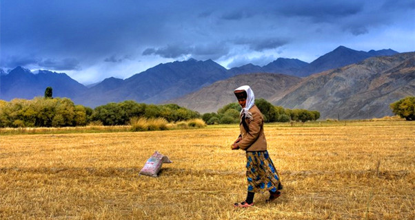 新疆帕米尔高原景区图片