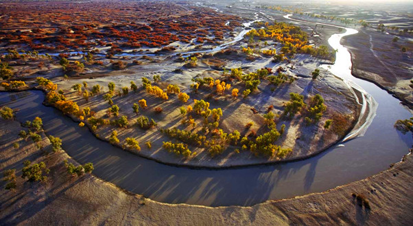 新疆塔里木河全景图片