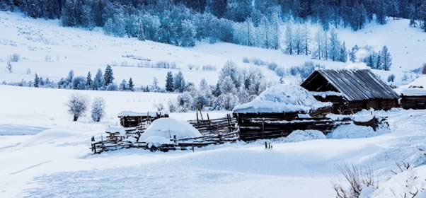 【新点光影】冬季新疆北疆冰雪风情摄影游9天行程