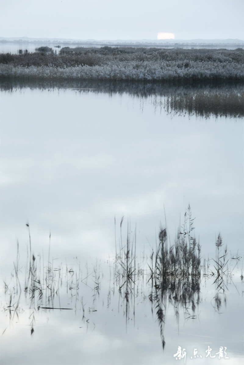 塔里木台特玛特湖摄影作品