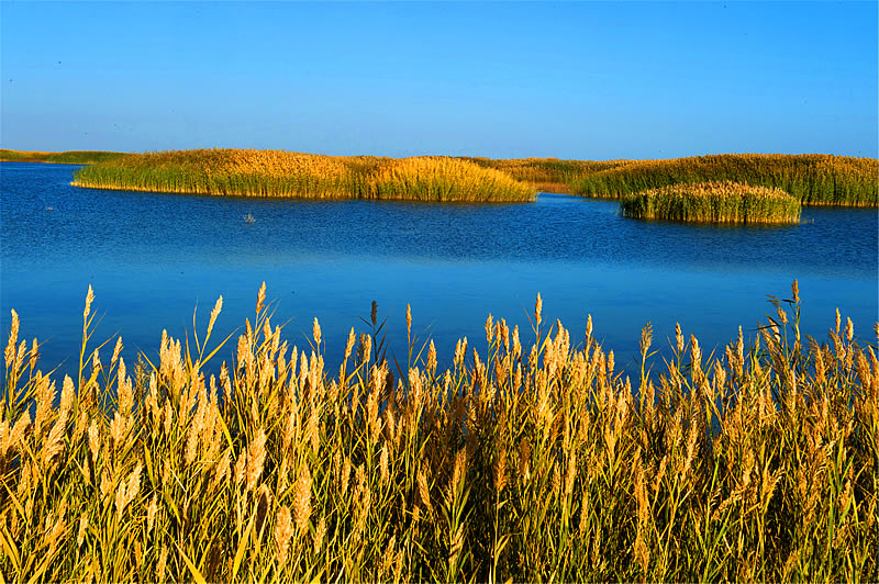 博斯腾湖风景图片