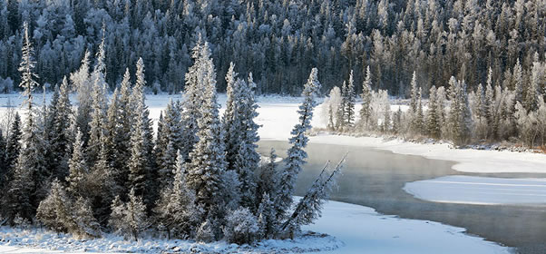 新疆冬季最美的地方在哪里？