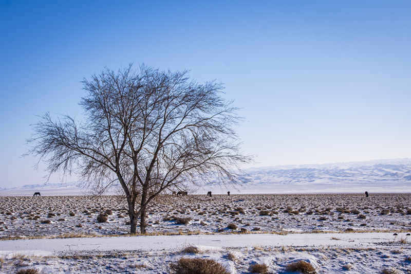 冬季北疆摄影风光